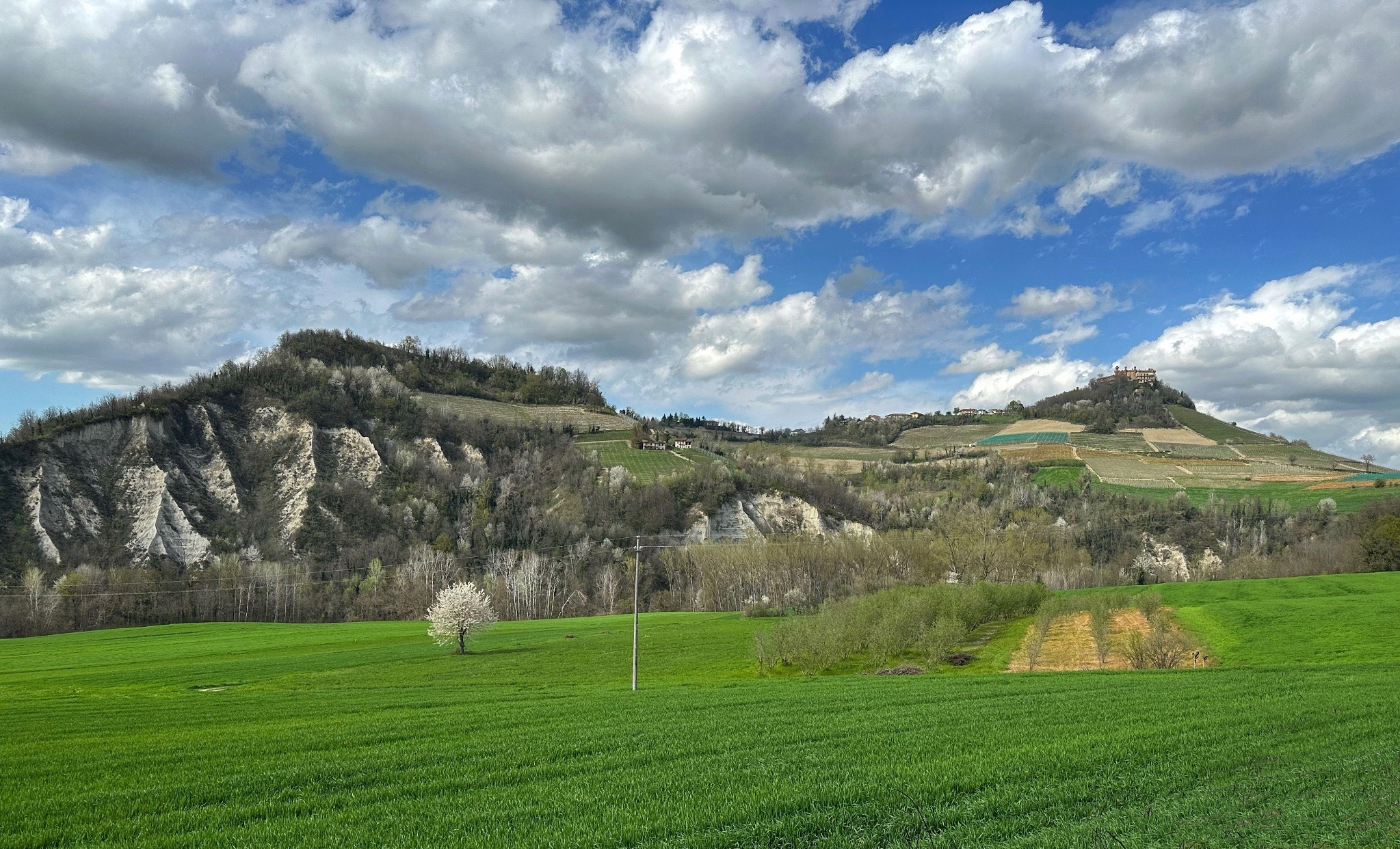 Spring blooms in Novello