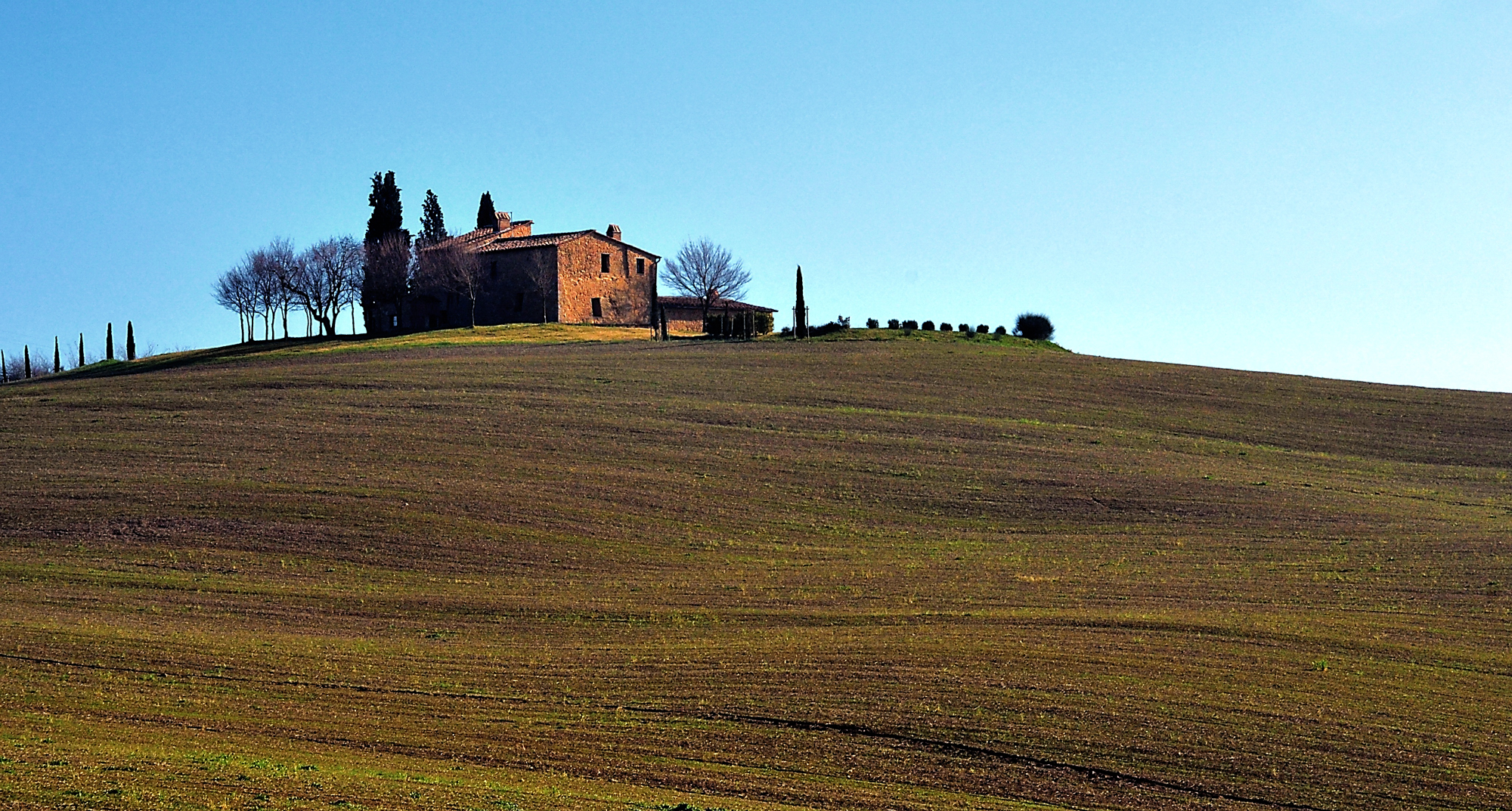 Siena countryside