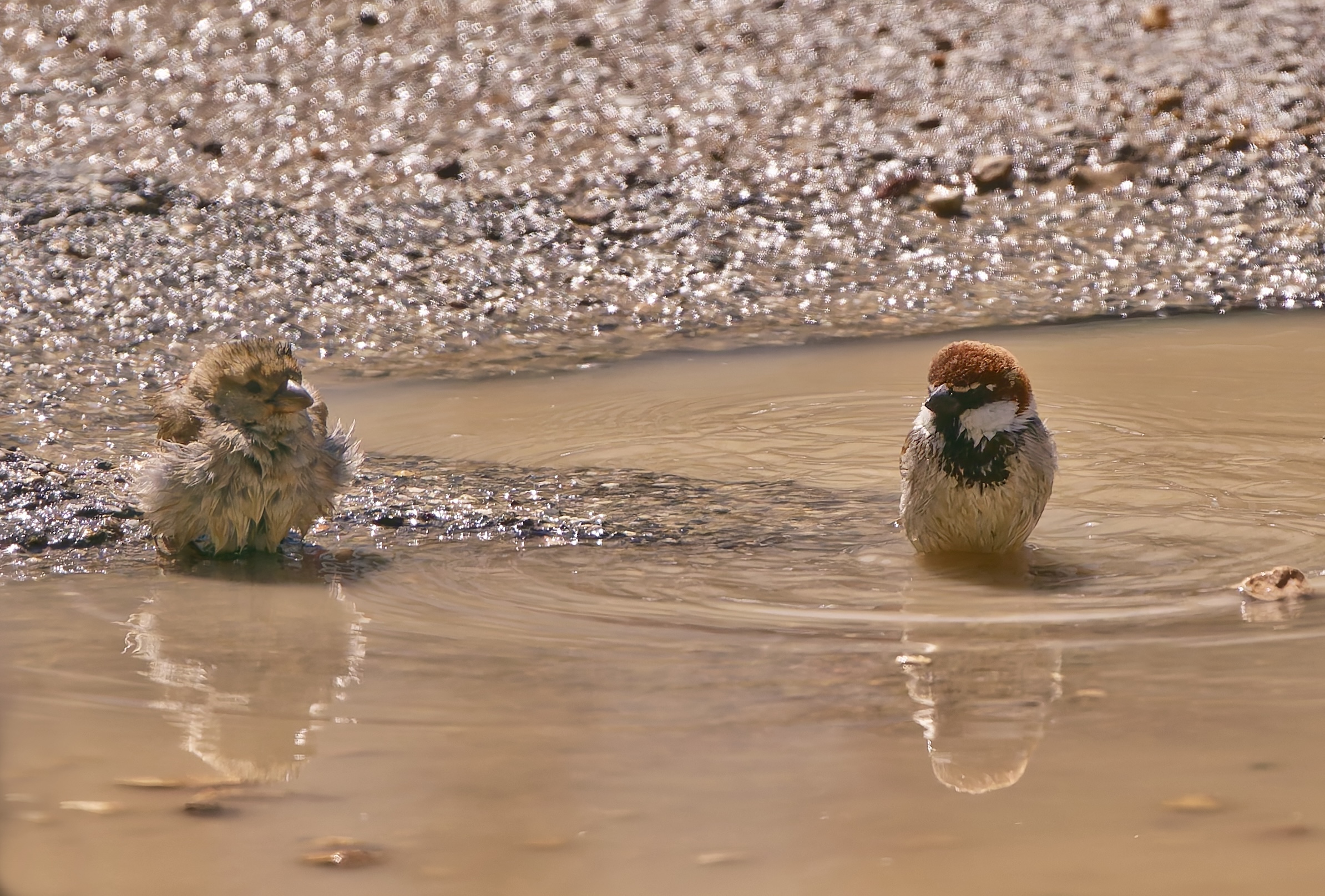 Let's take a bath