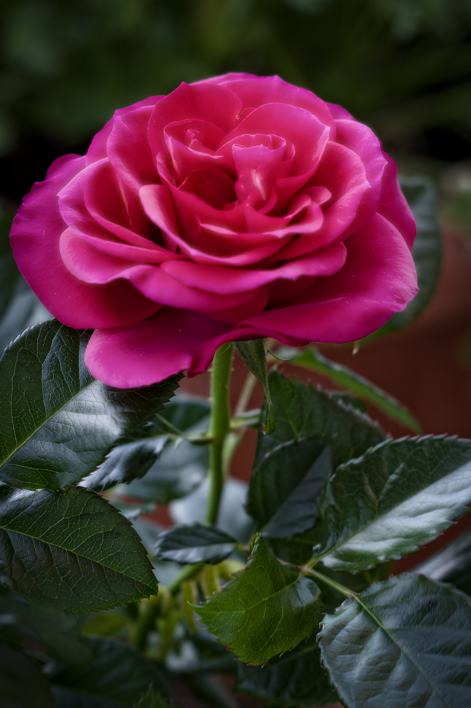 Untitled Photo