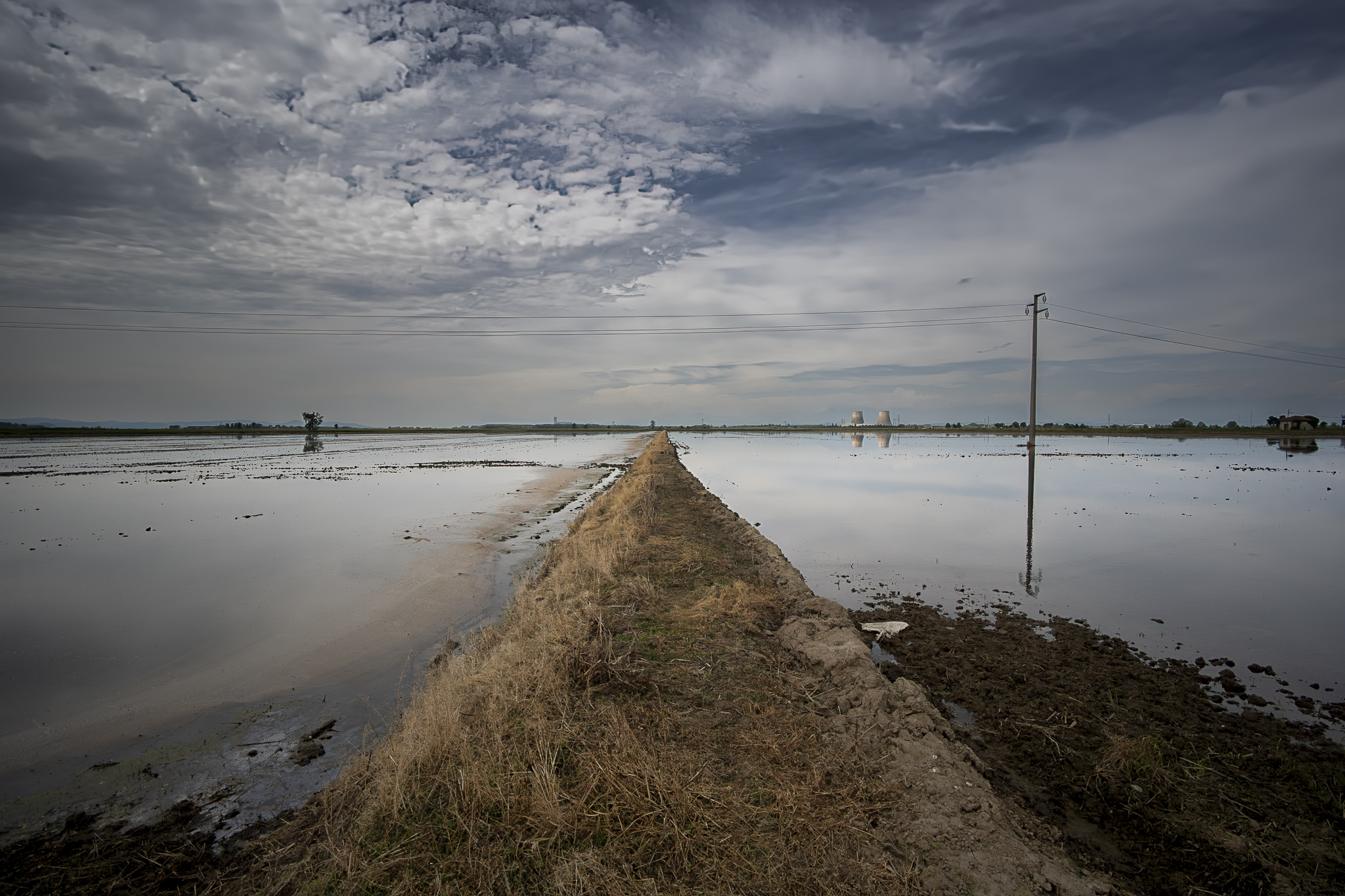 Risaie del Vercellese