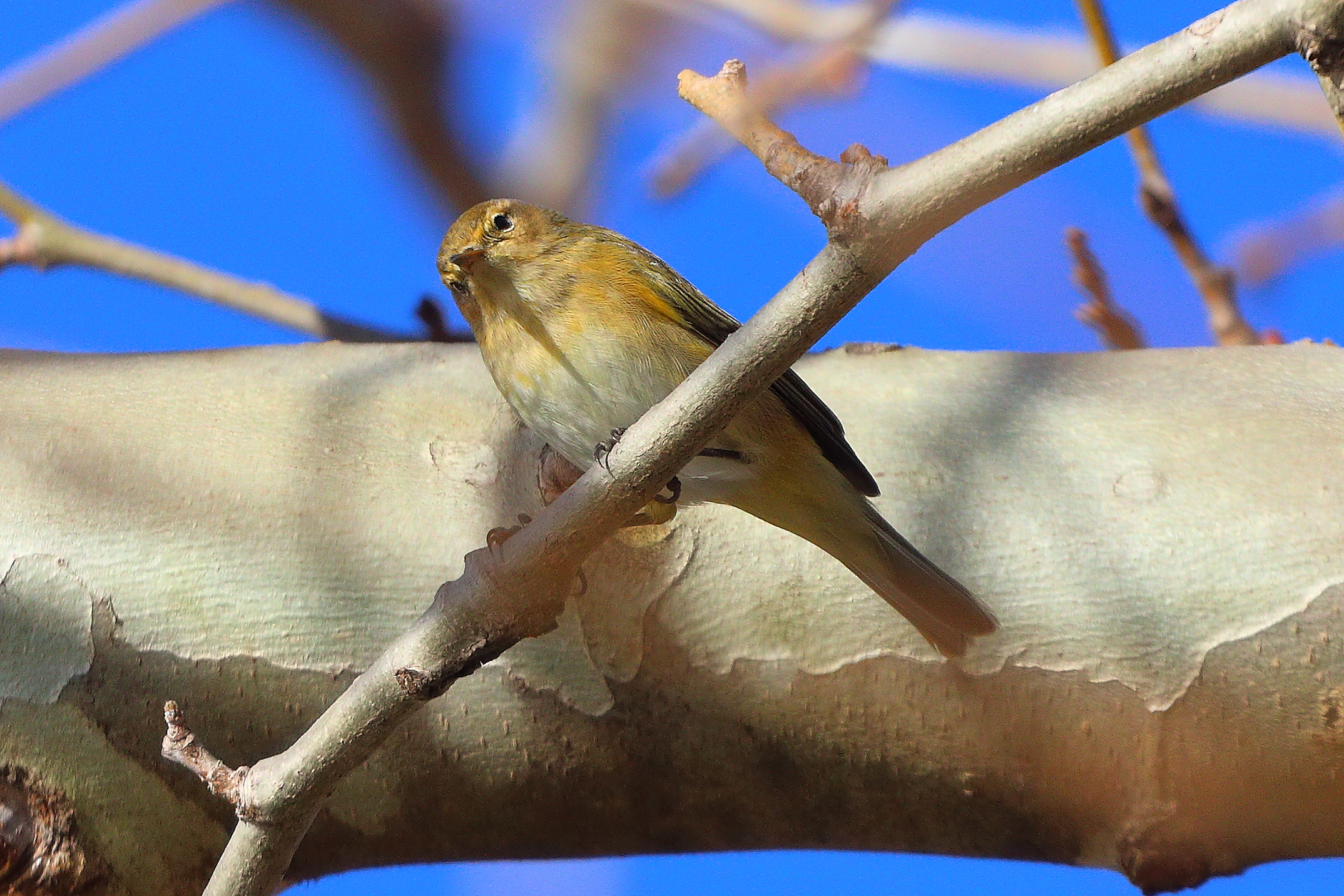 Lui p 03 gennaio 2025 - 0078