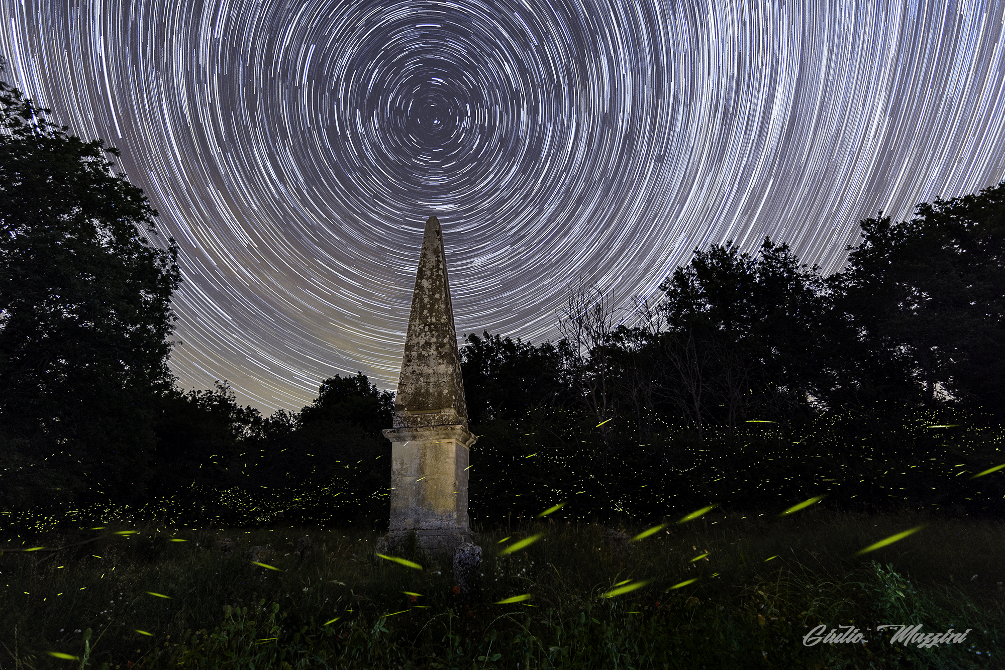 Fireflies and stars