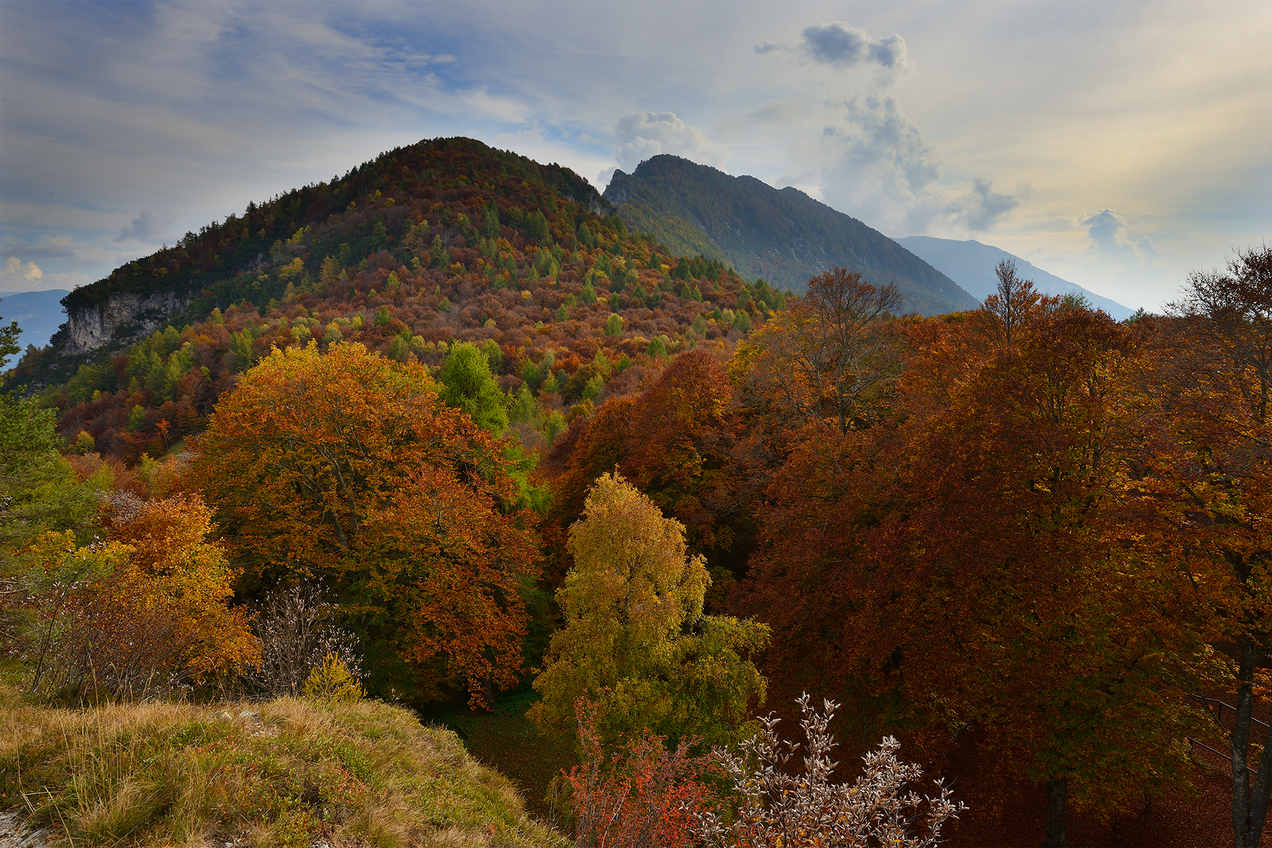 autumn