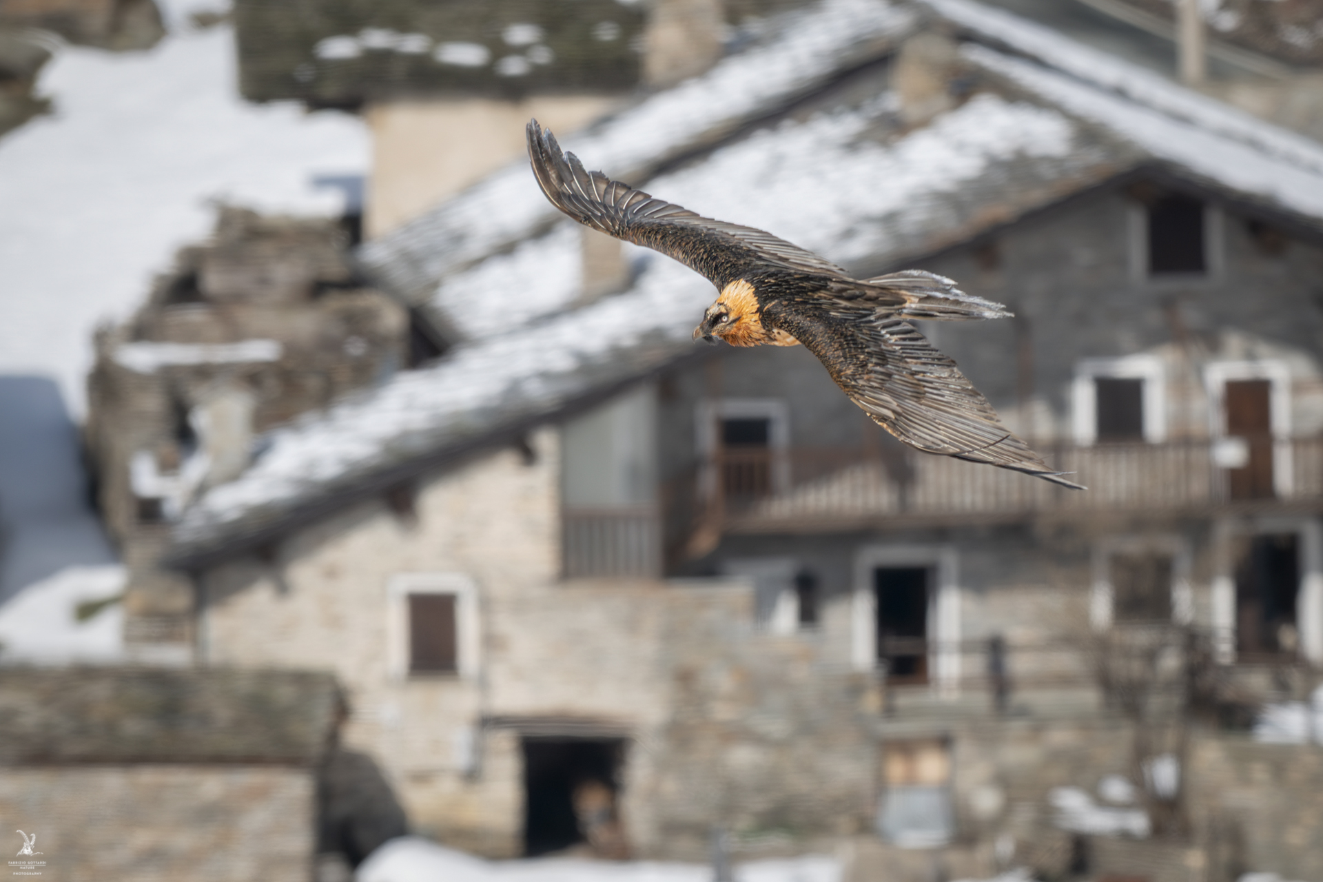 Walk near the village