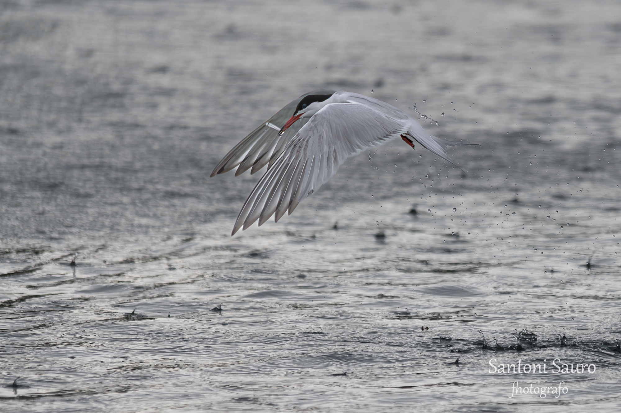 Al volo in una giornata uggiosa