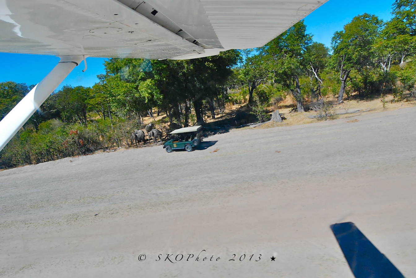 Xakanaxa Airstrip ( 20 minuti da Maun)