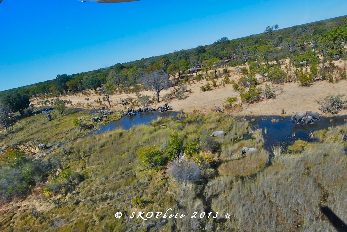 Pozze intorno all'Airstrip.