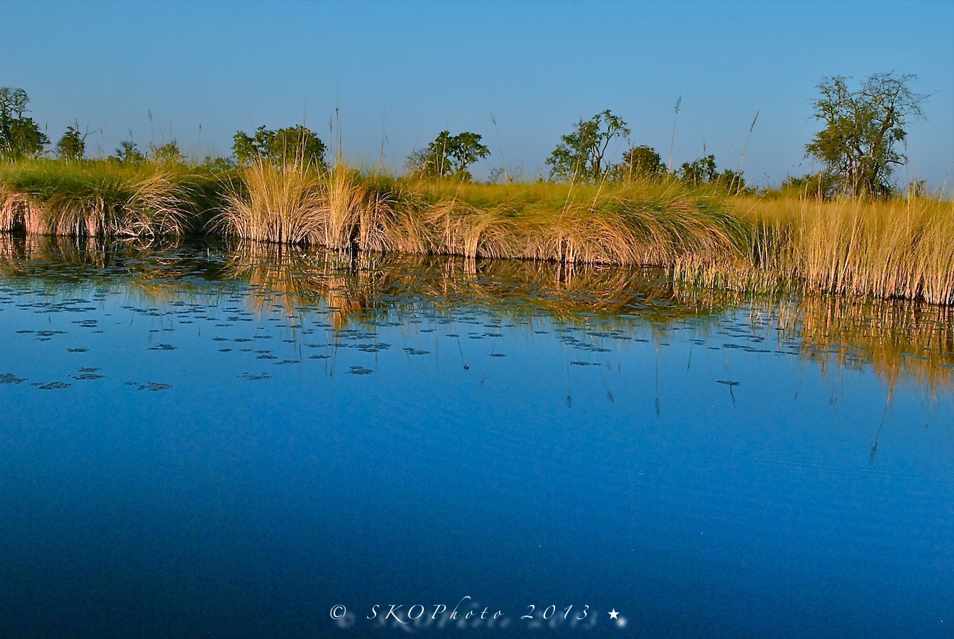 Moremi Lagoon