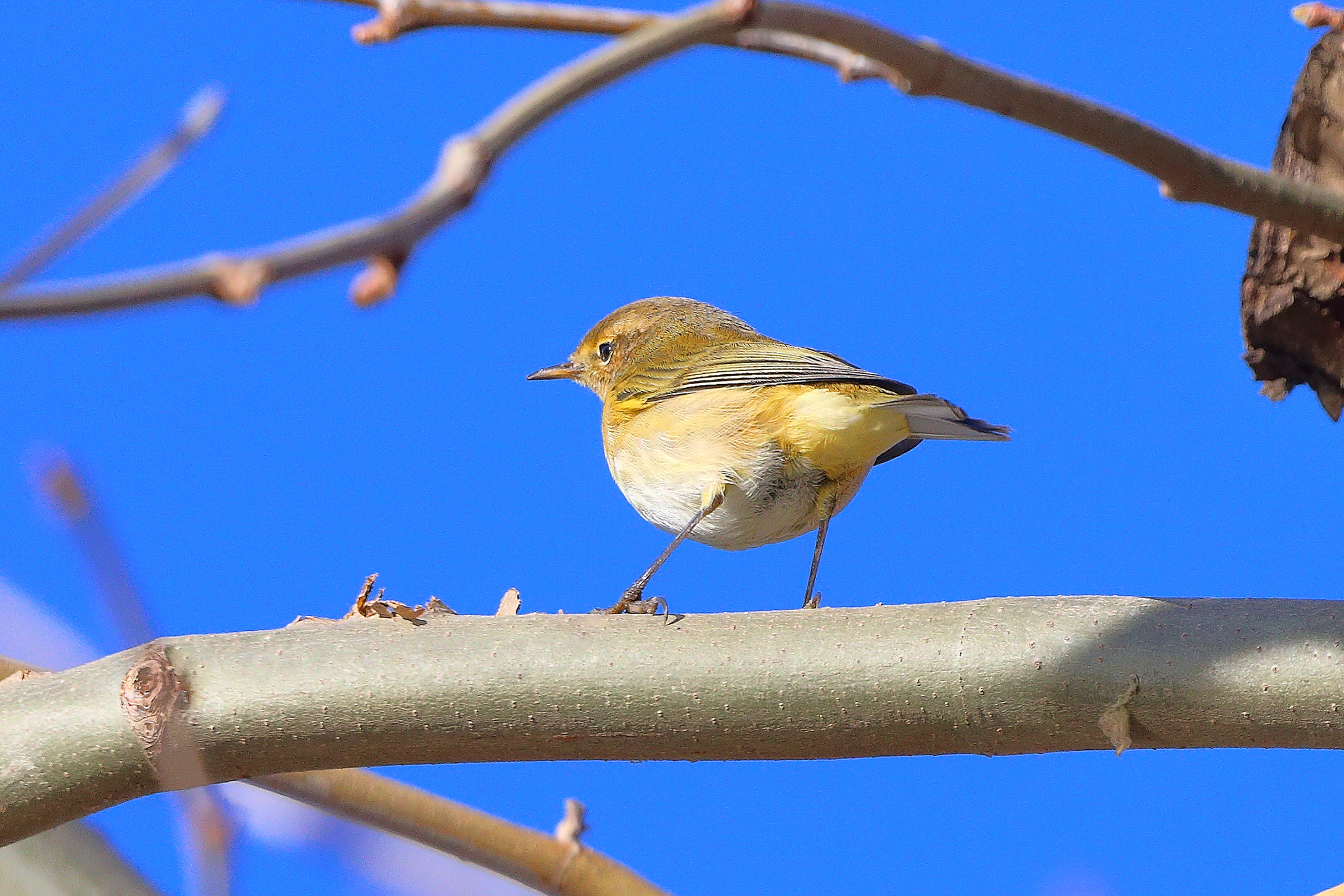 Lui p 03 gennaio 2025 - 0089
