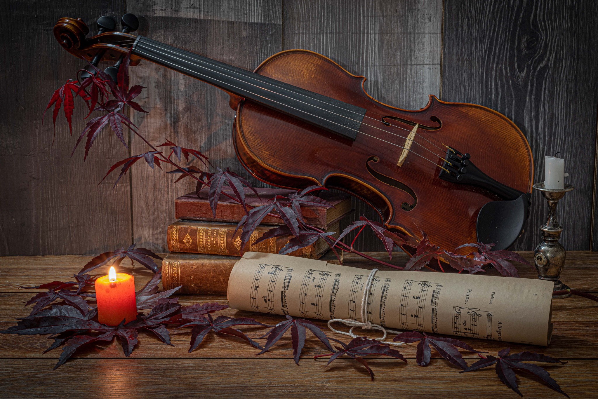 Violino