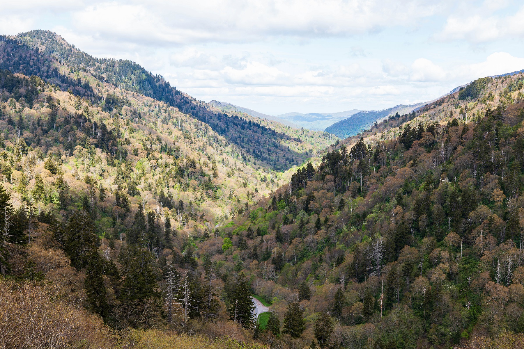Leica LS2s Sigma 28-45 F1.8 DG DN Morton Overlook
