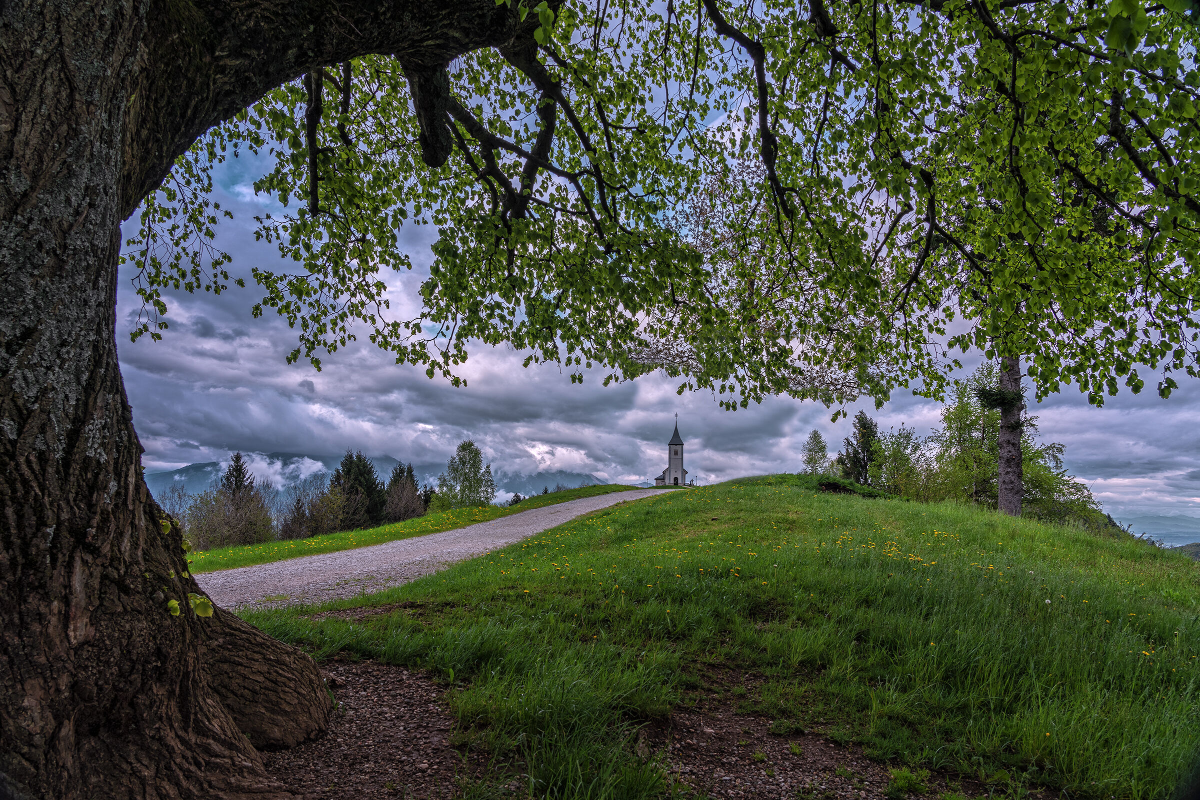 The path