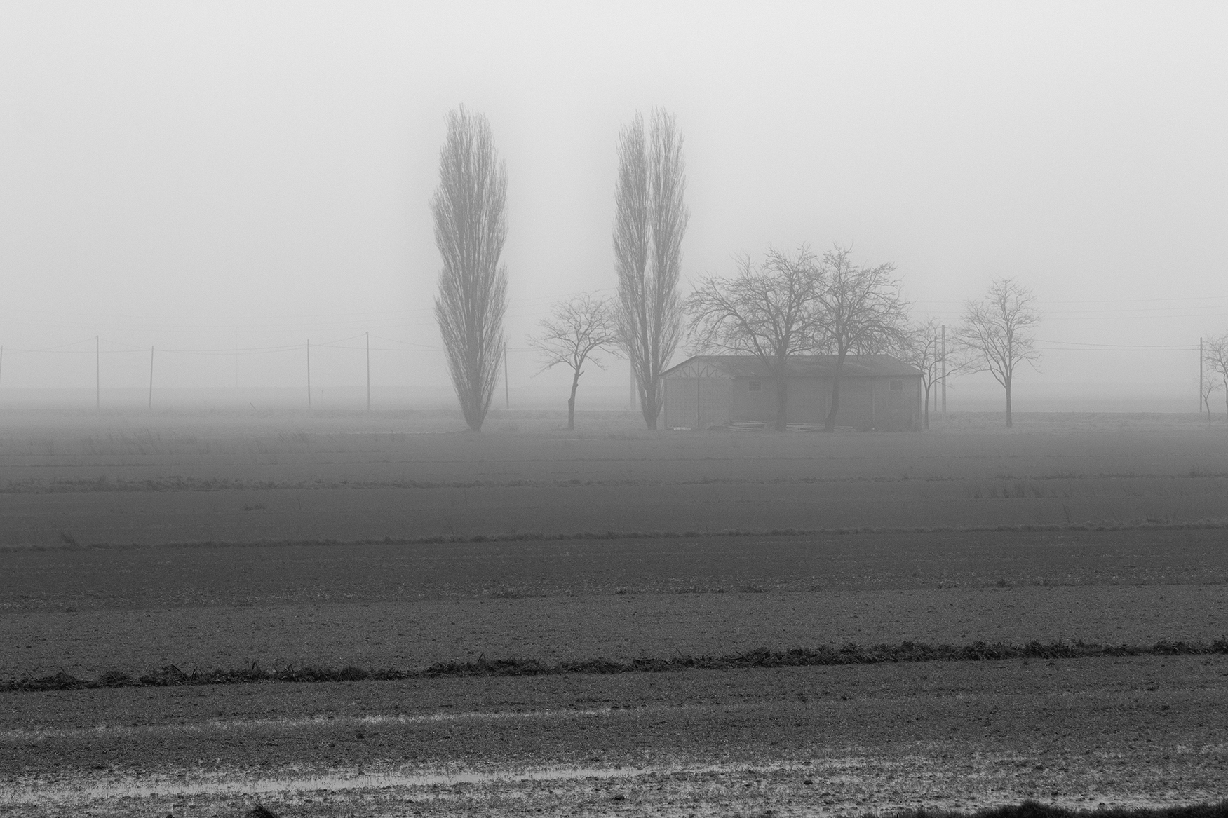 Nebbia padana 2