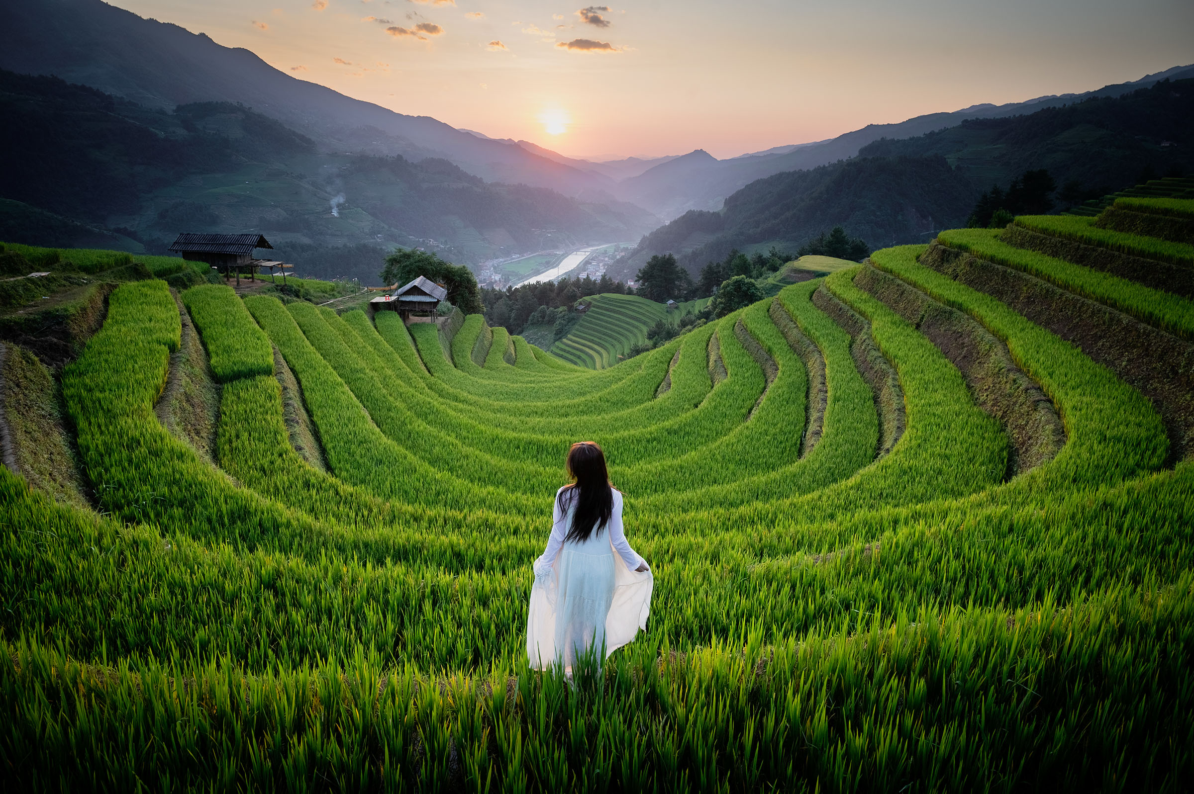 The embrace of the rice fields