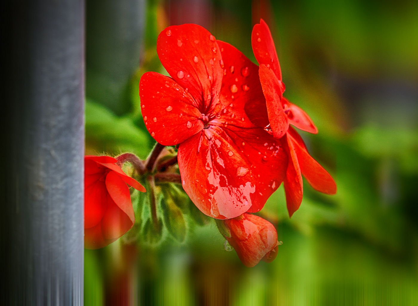 Overlooking the balcony...