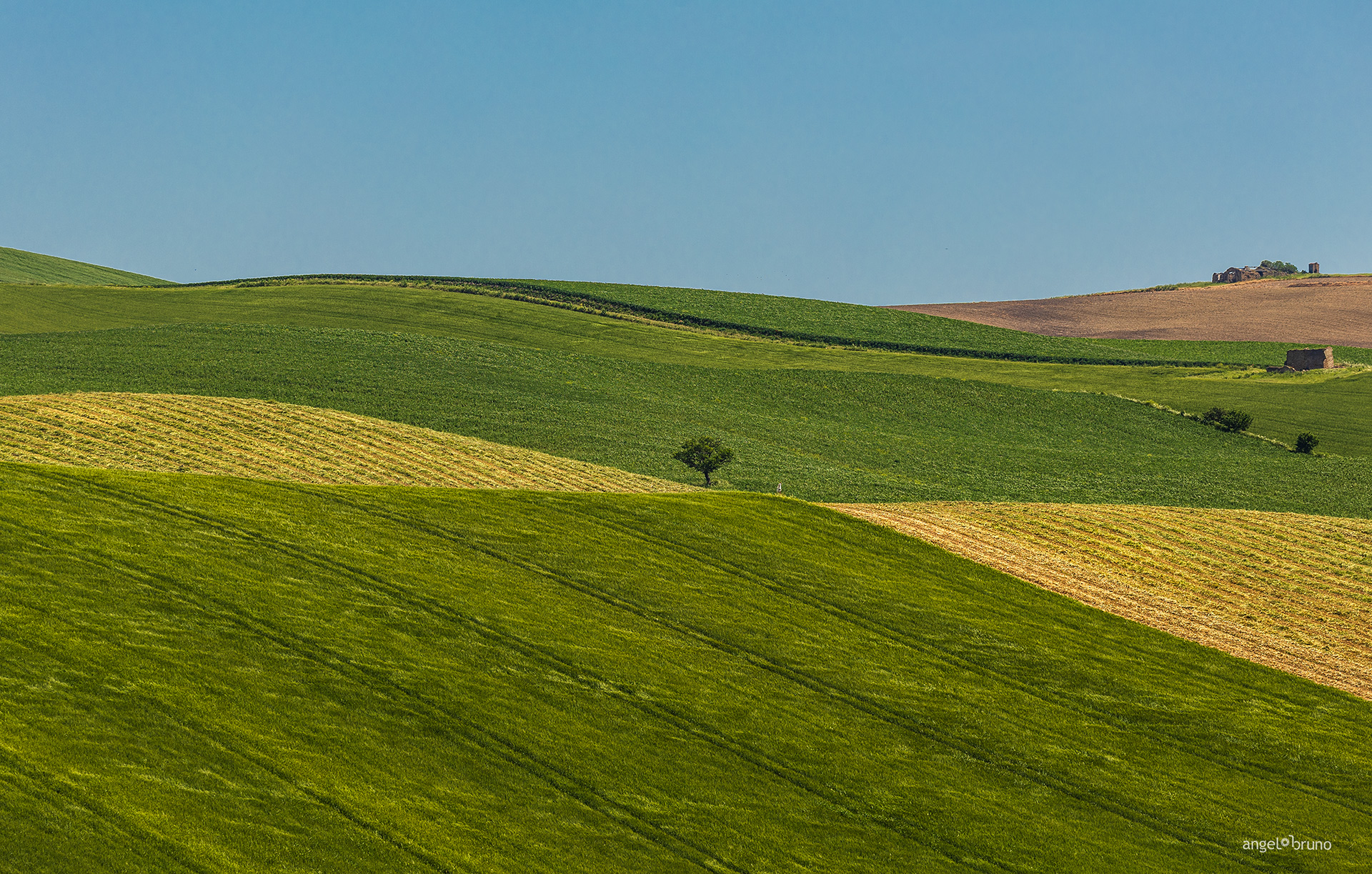 Molise does not exist 2