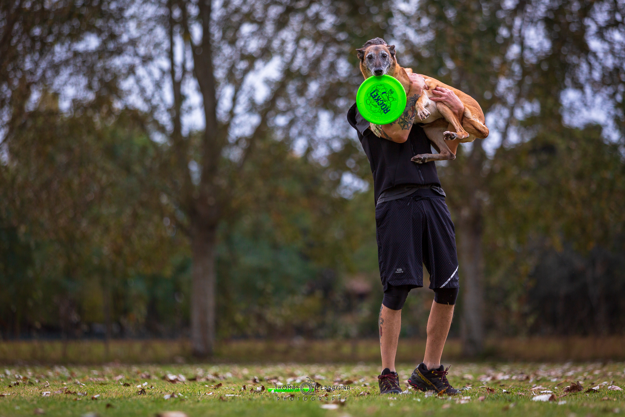 Disc Dog