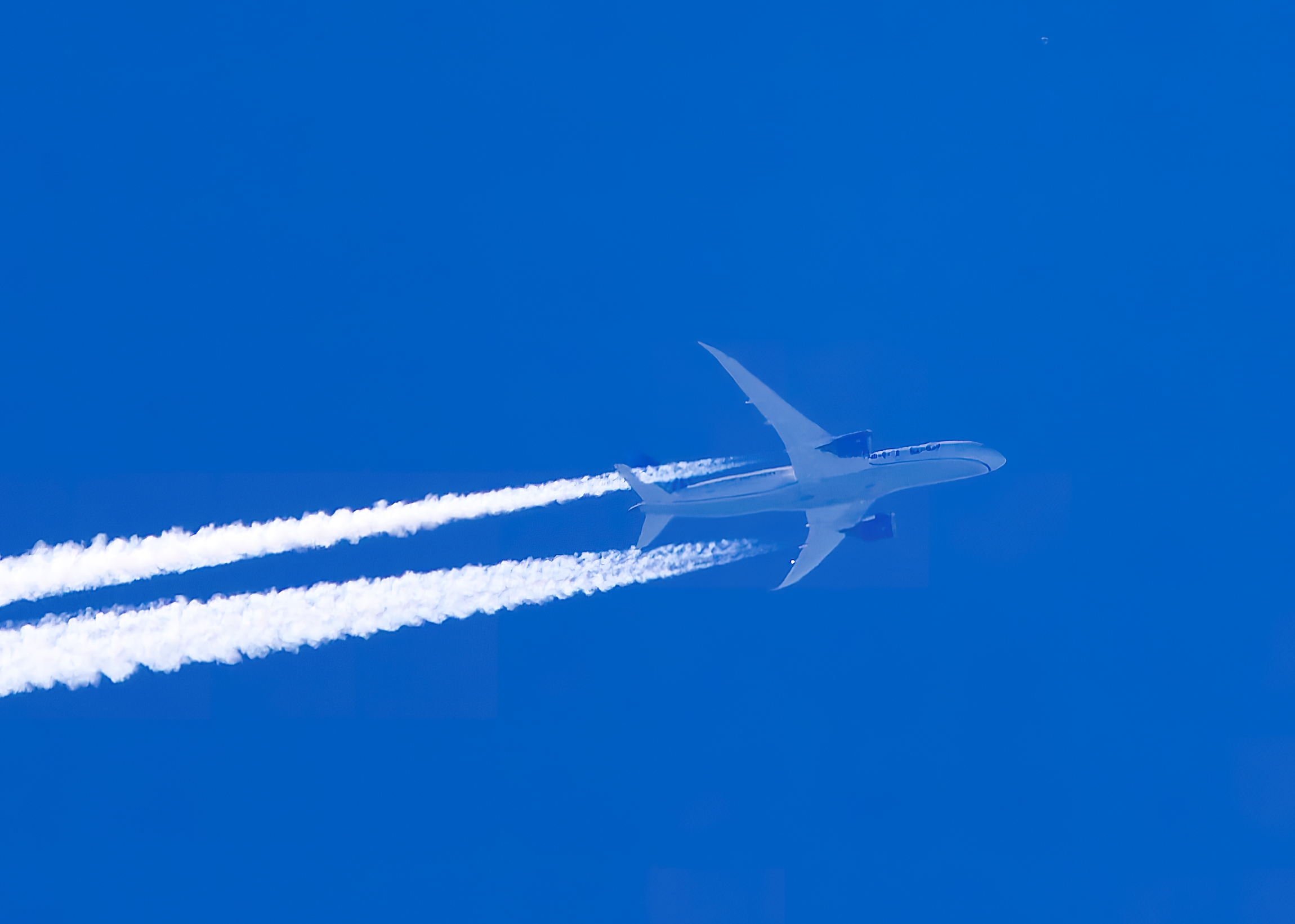 A shark in the sky