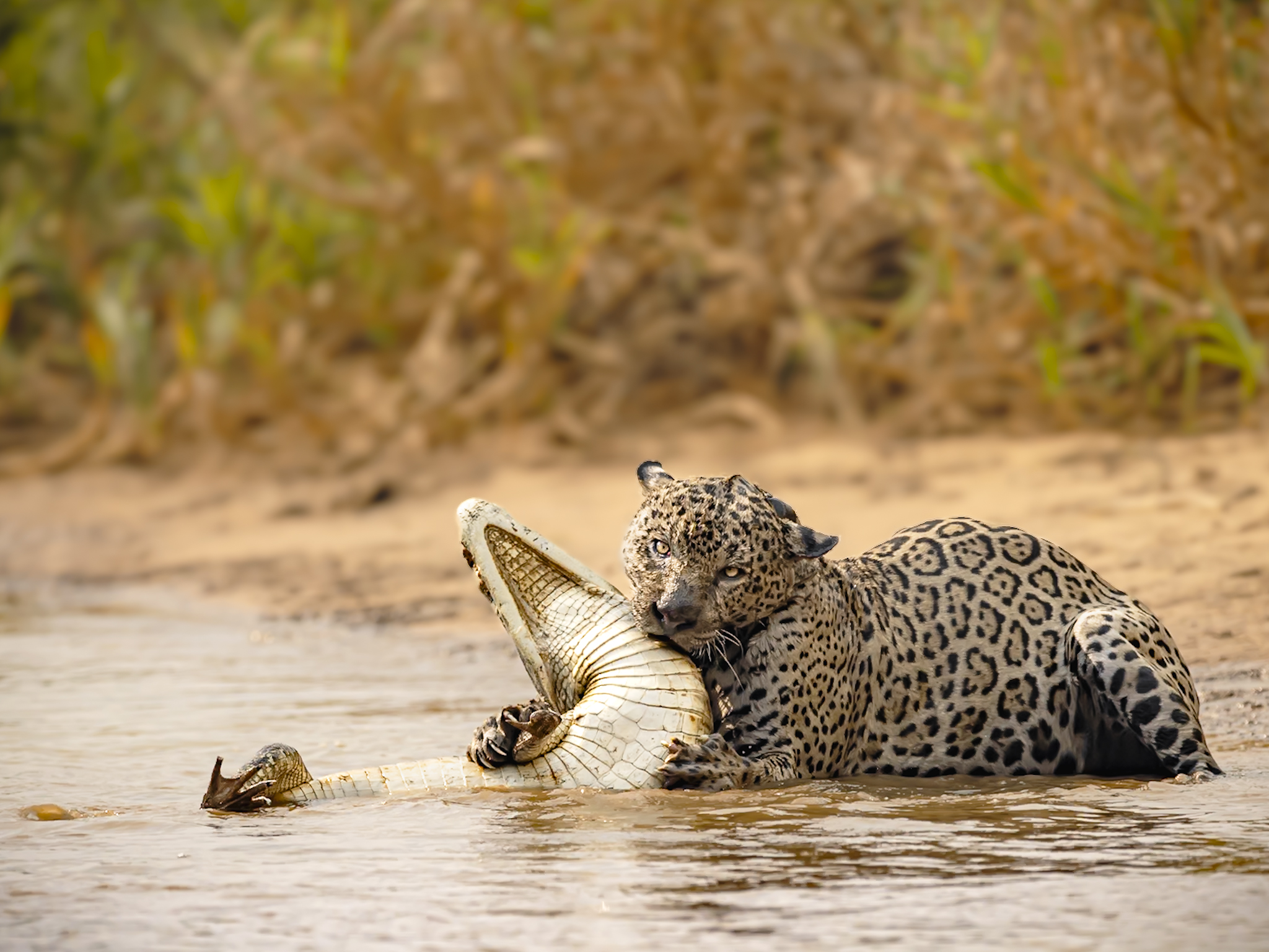 Unforgettable emotions