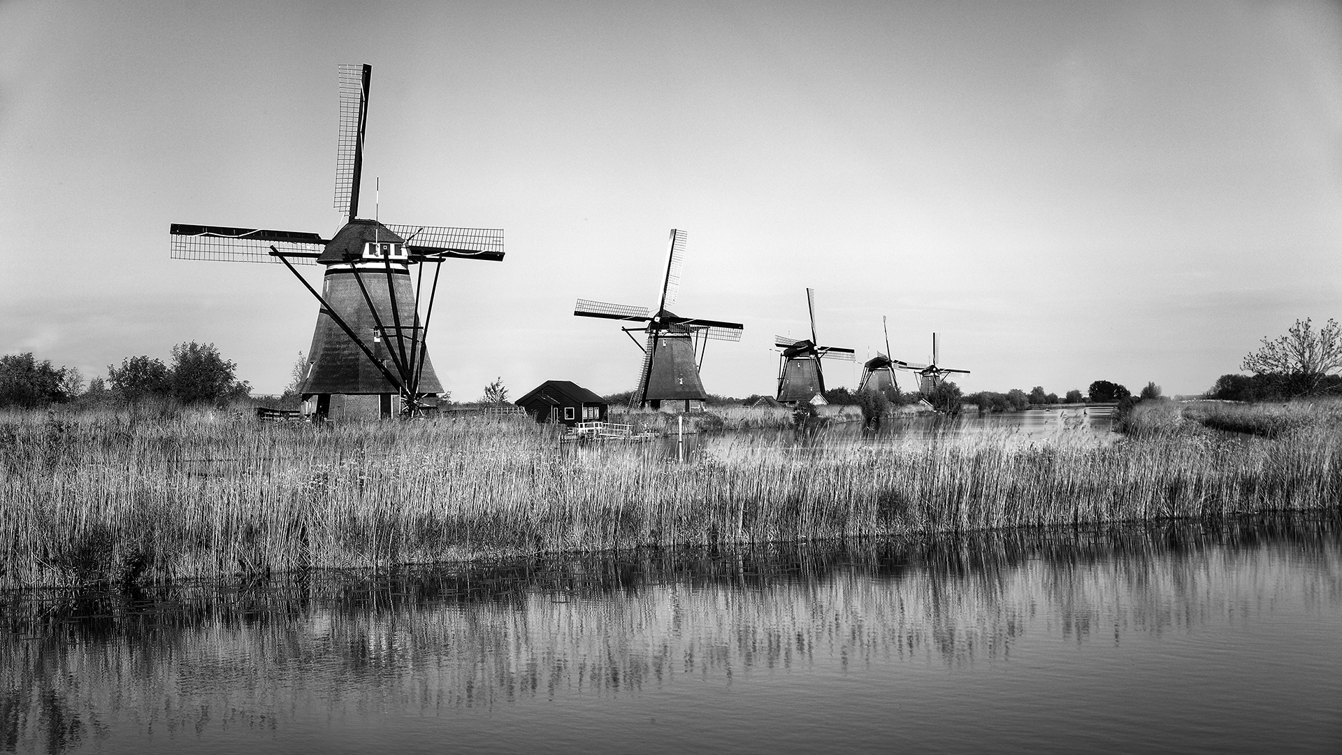Kinderdijk