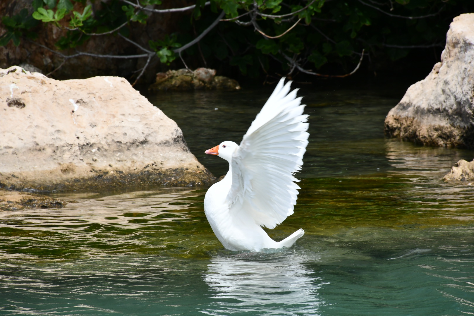 Oche a Sitia (Creta)