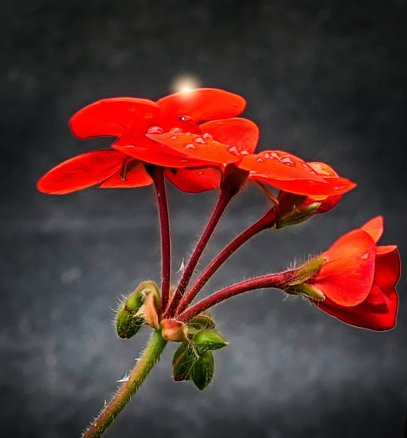 Light on the drop....