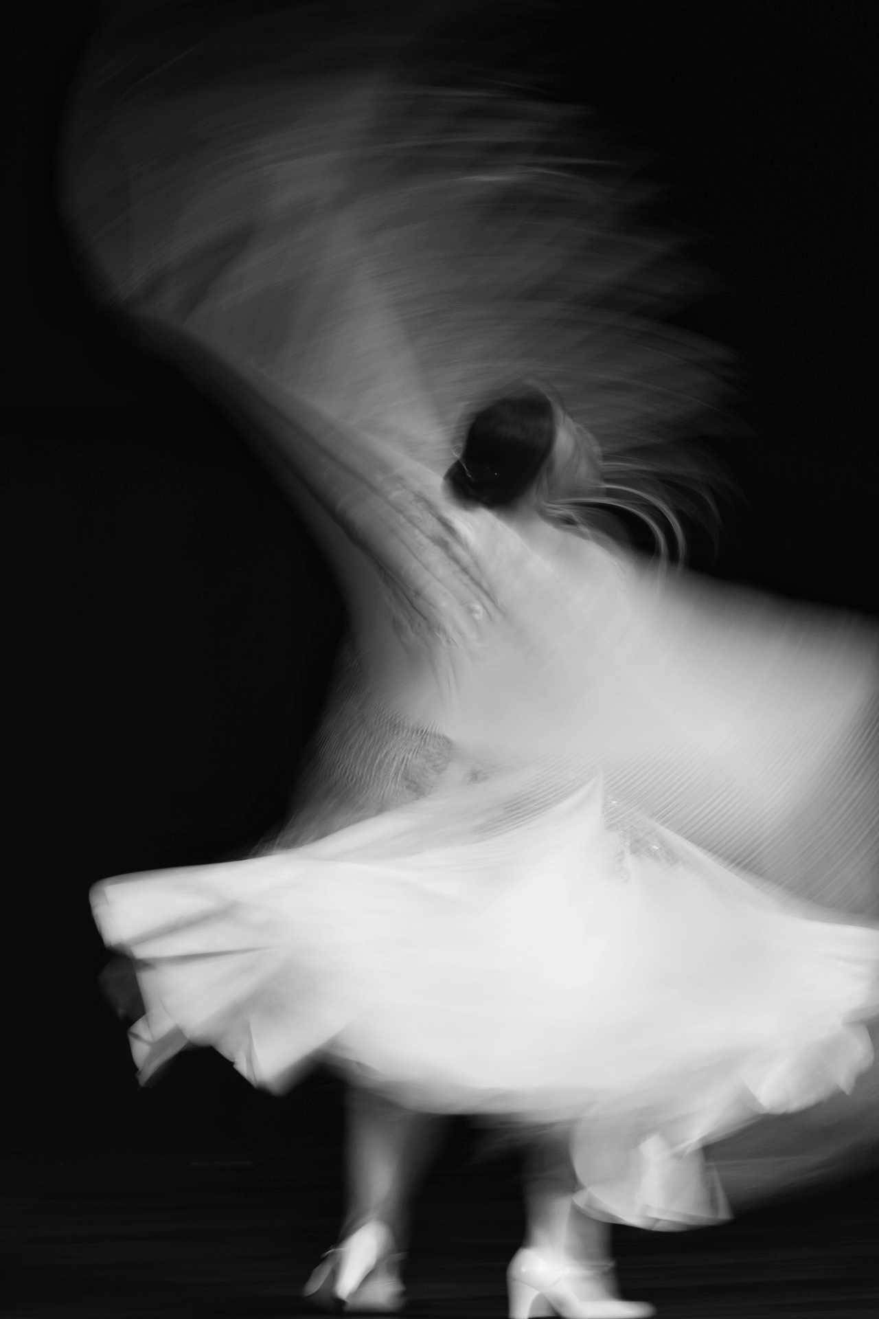 flamenco