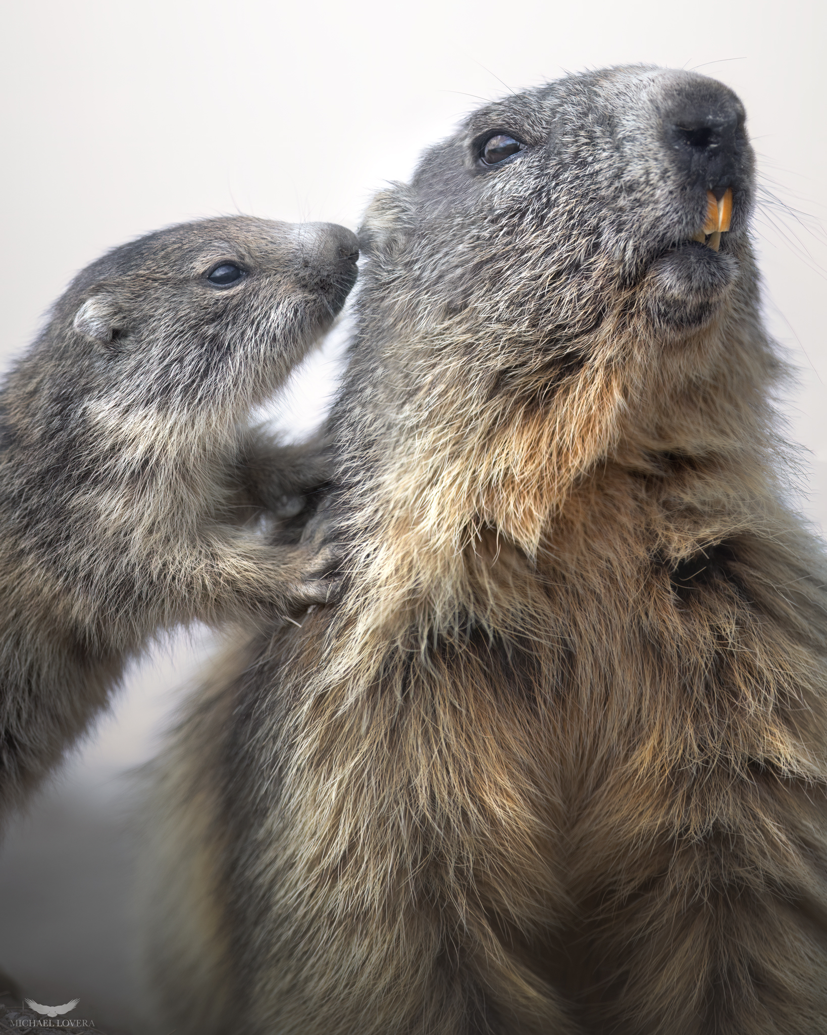 Mamma devo dirti una cosa…