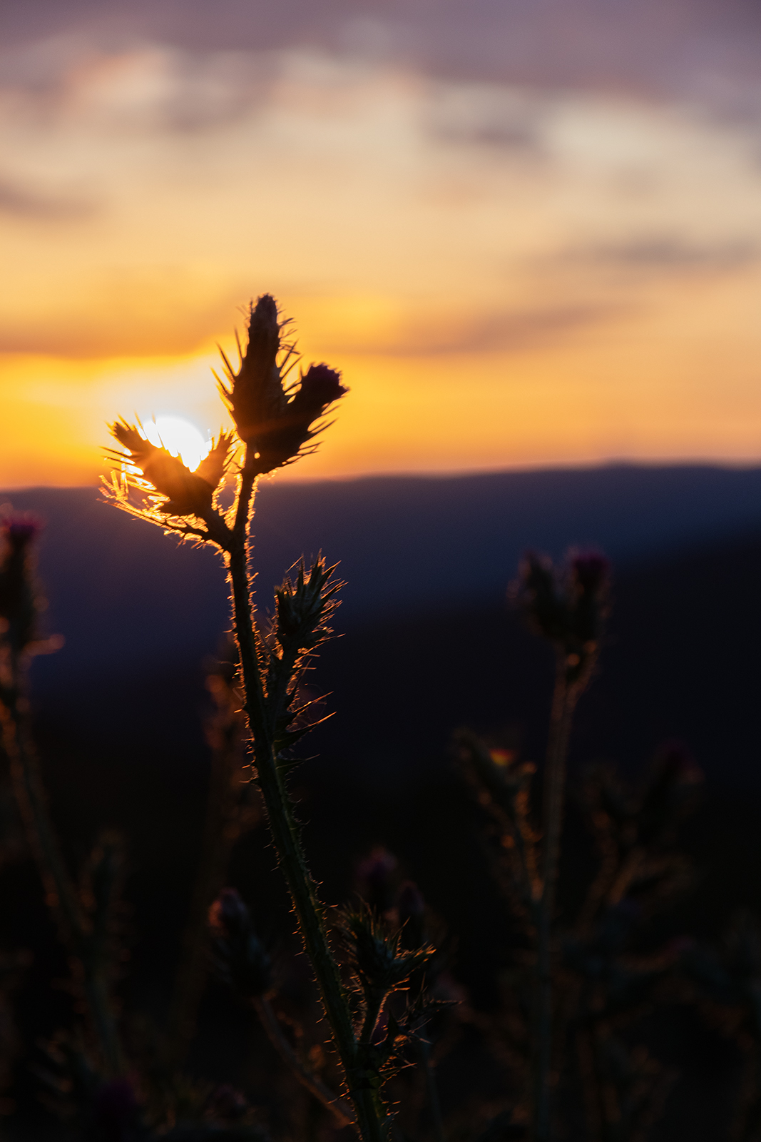 Last daylight