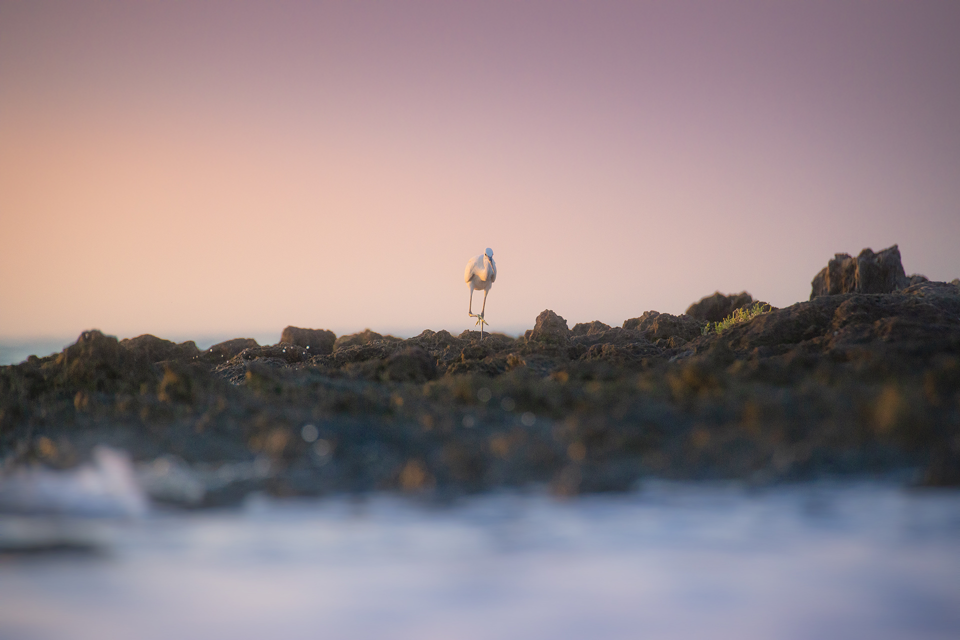 Awakening