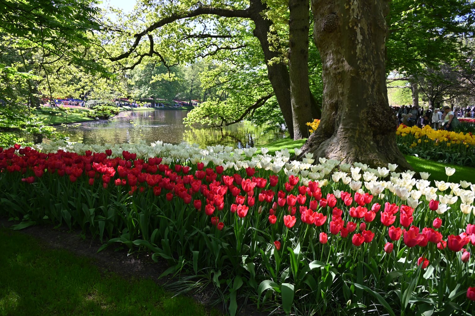 Park ddi keukenhof