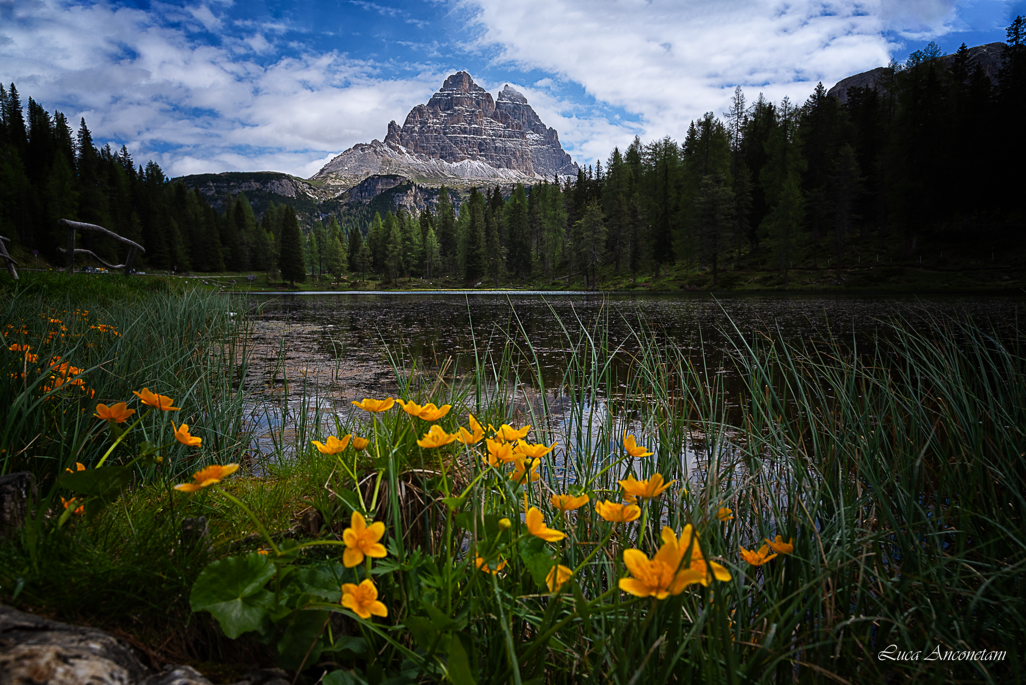 Primavera presso il lago d' Antorno