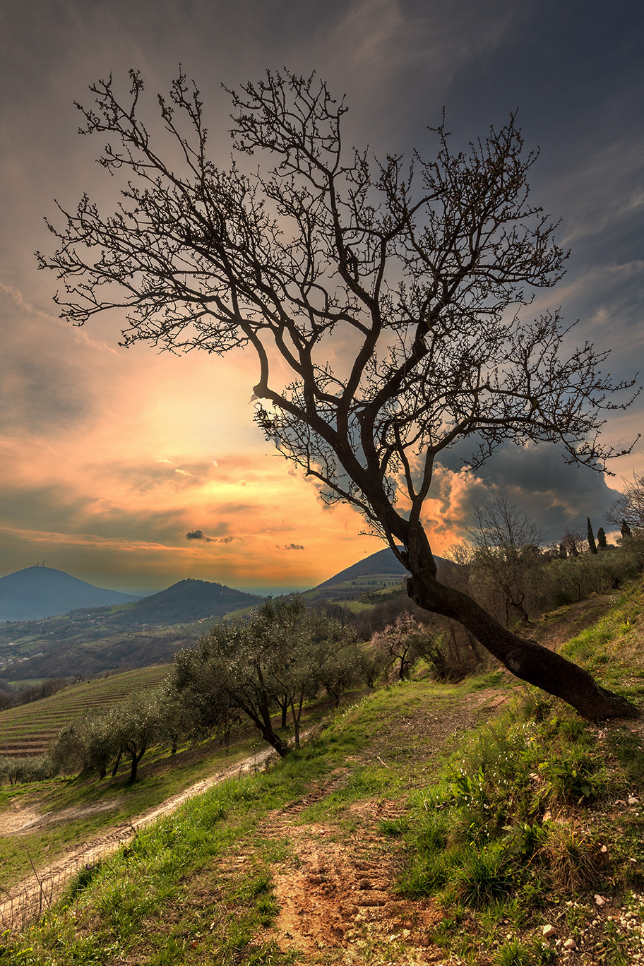 Euganean Hills