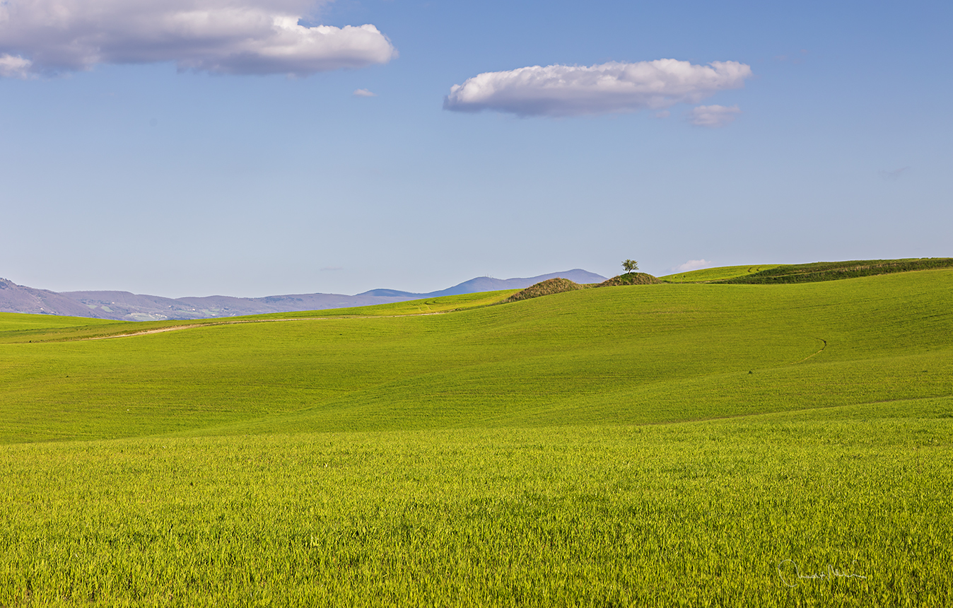 Valdorcia