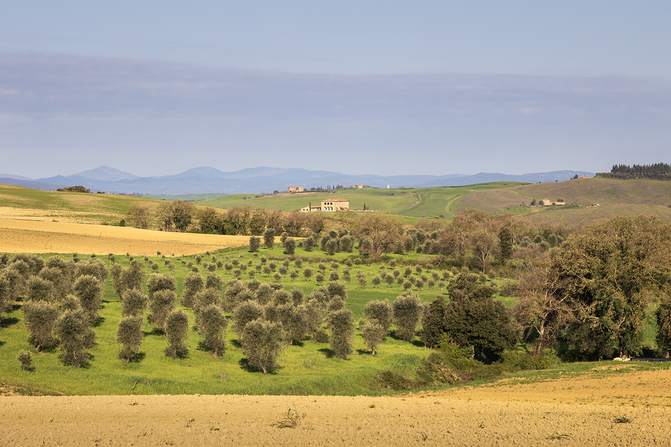Val D'Orcia