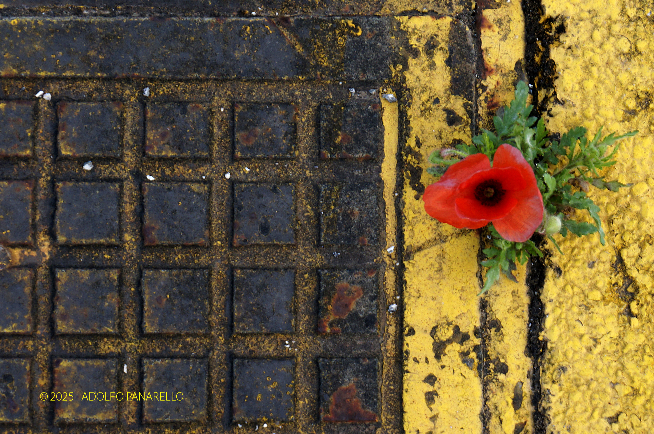 In the end, Nature always wins...