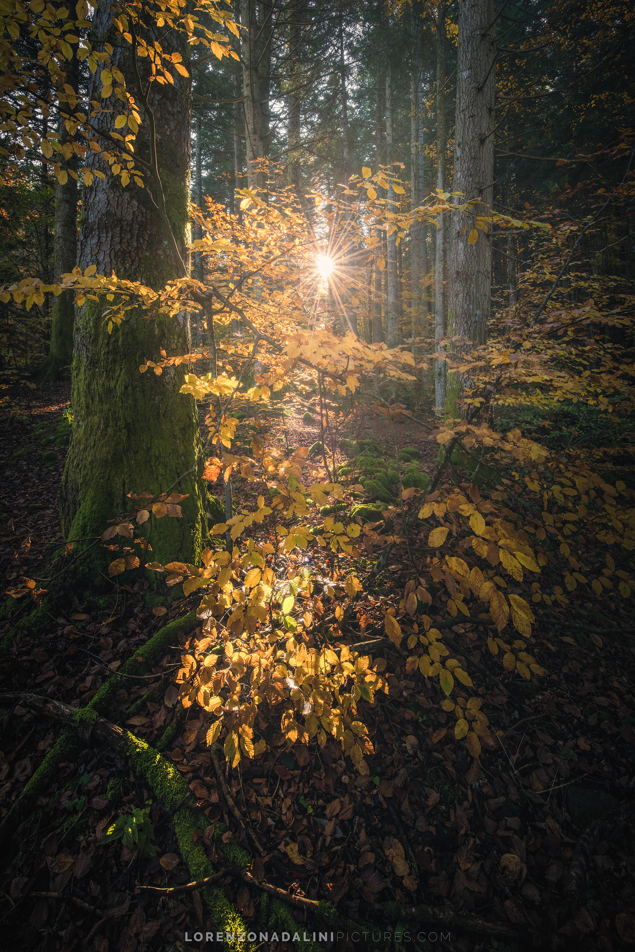 Sheltered