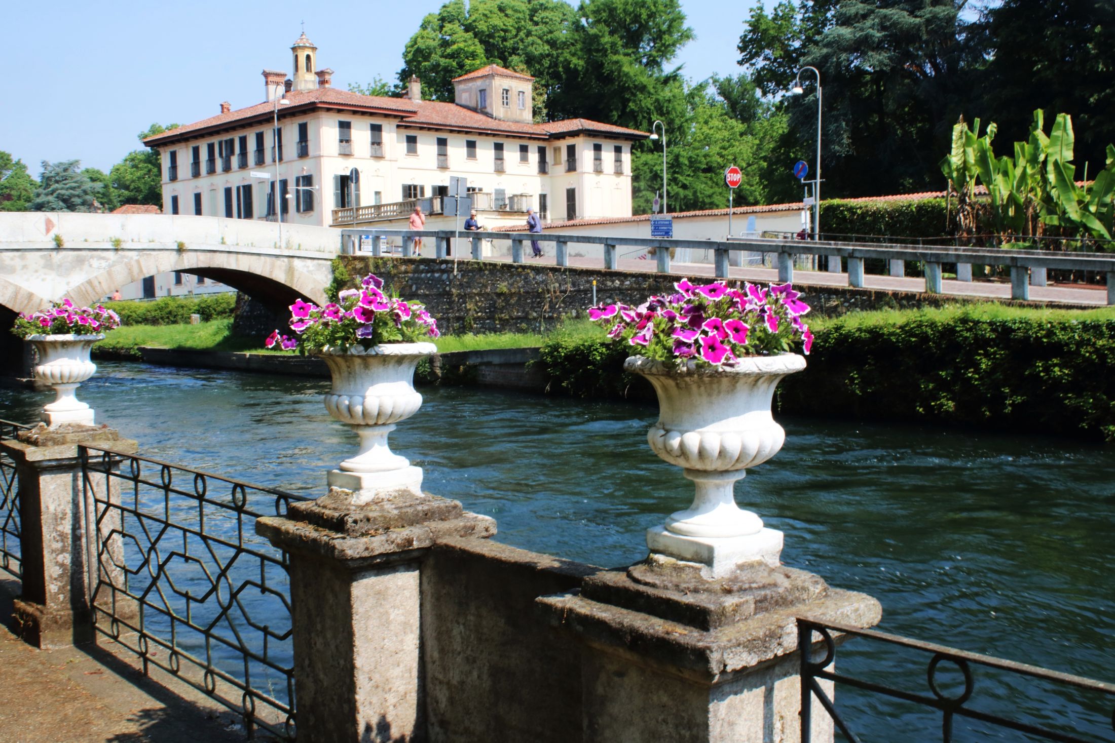 Fiori sul fiume
