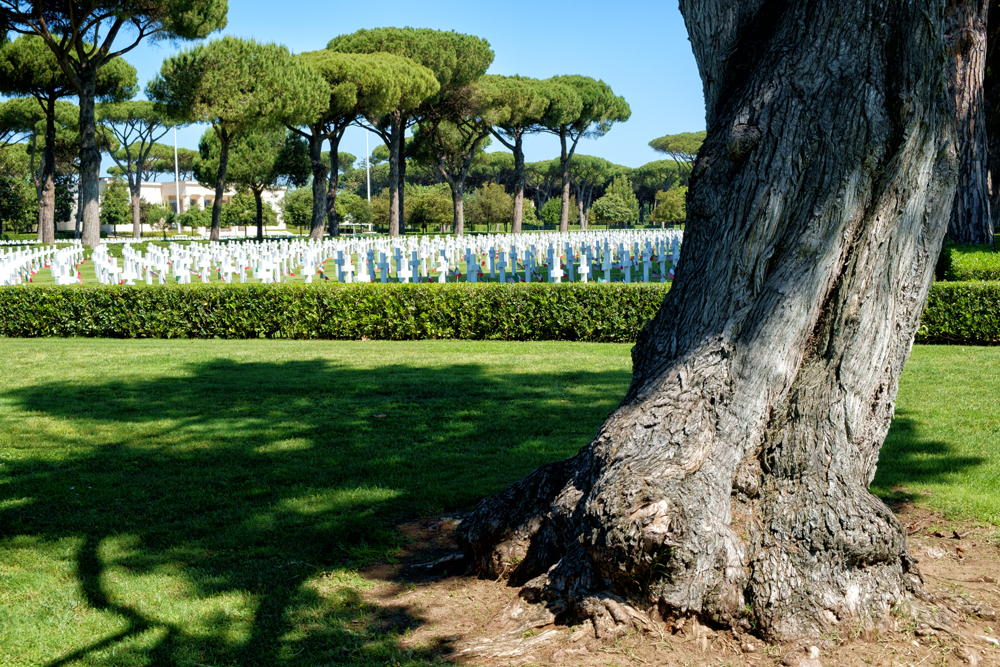 Neptune American Cemetery