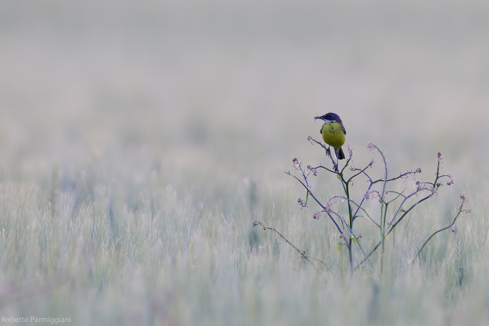 Ephemeral moments