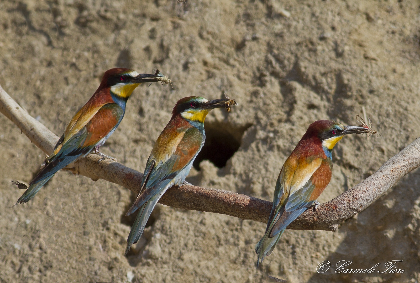 siamo rimasti in tre