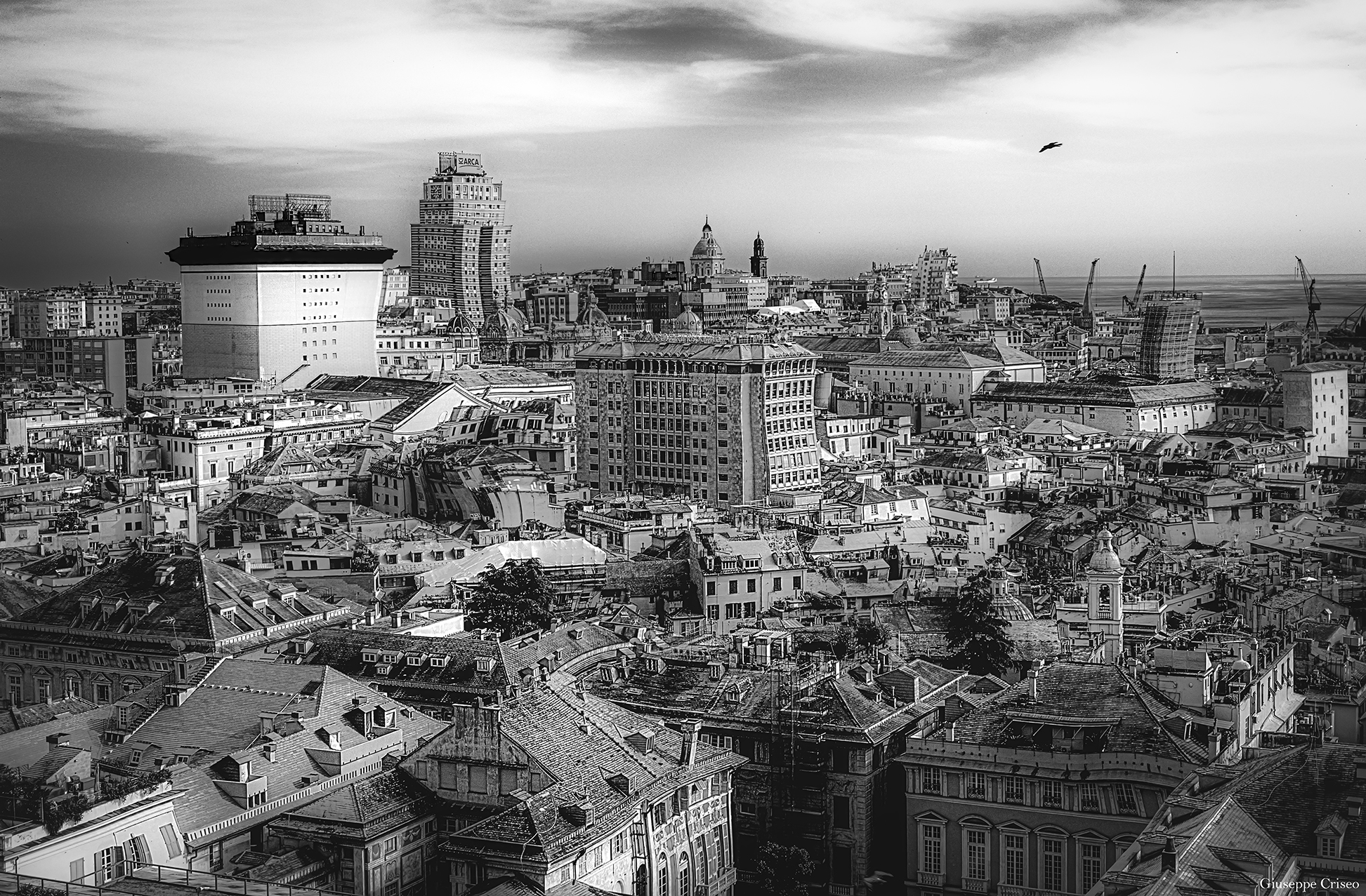 Genoa art view from Castelletto
