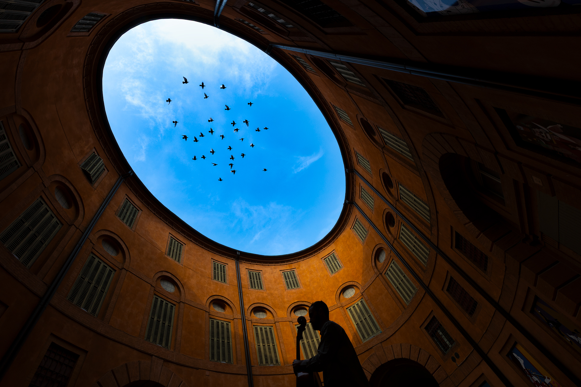 Sfiorivano le viole.