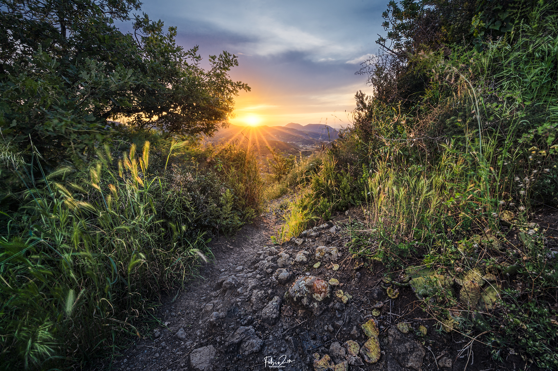 In the Euganean sunset there is the stillness of a time that...