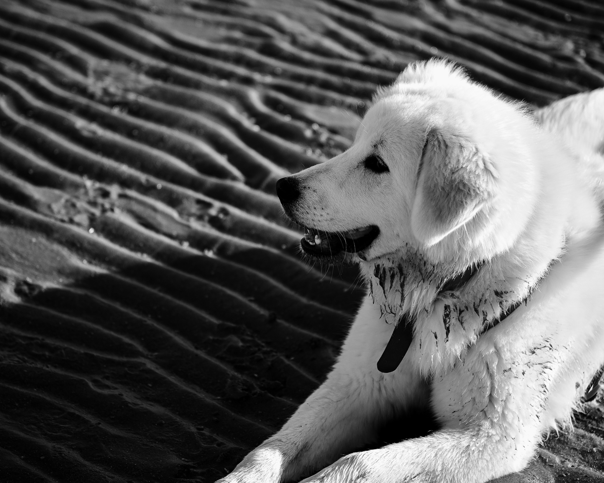 "Agatha prima volta al Mare"