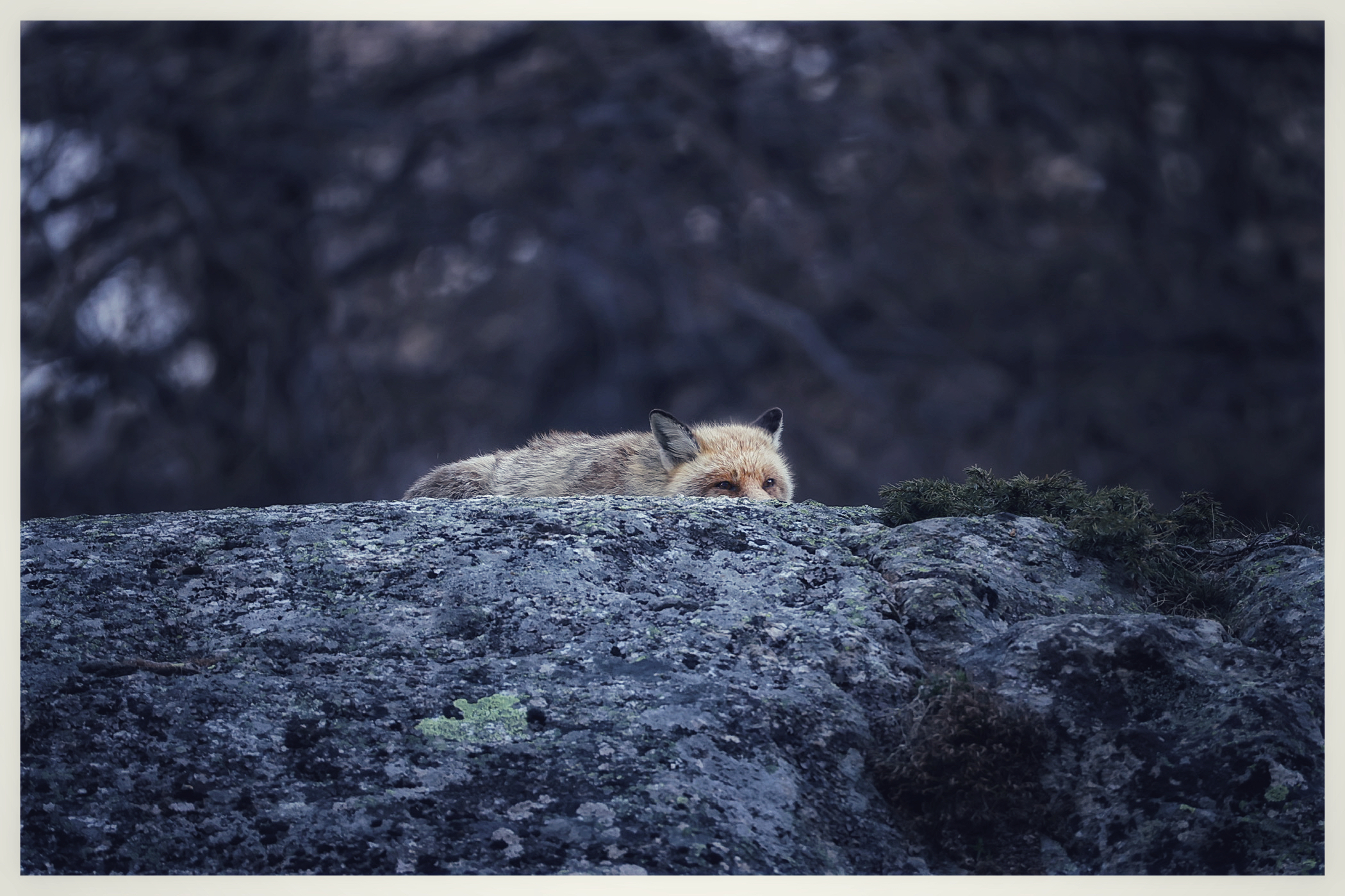 In armonia con la natura