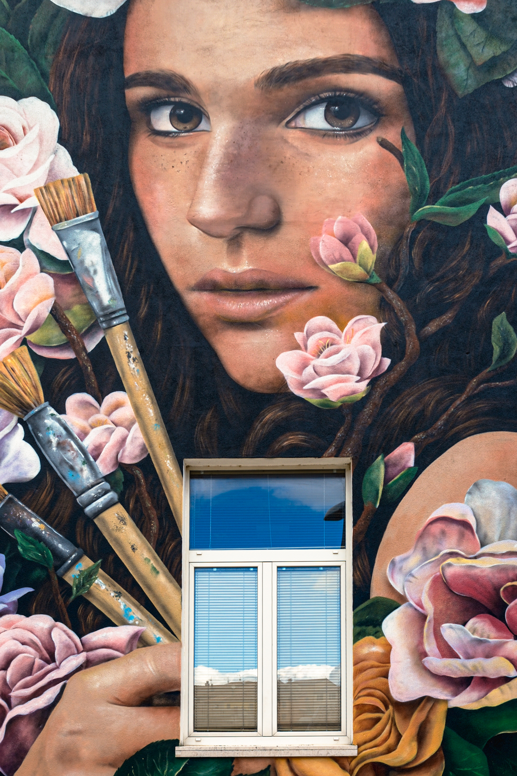 la finestra sul cortile