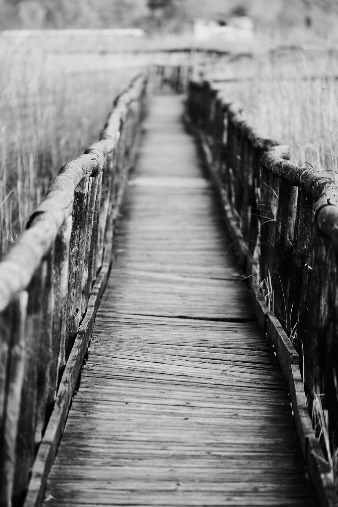 Path of the unconscious