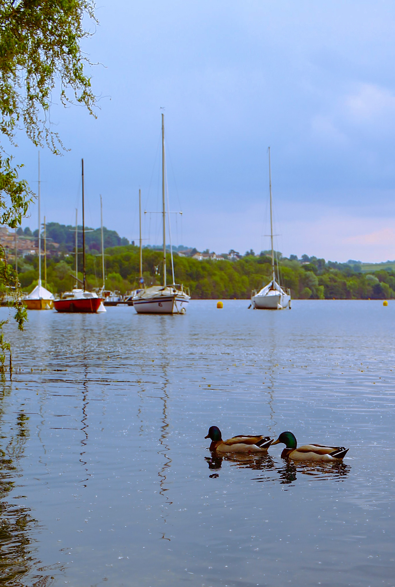 vista lago